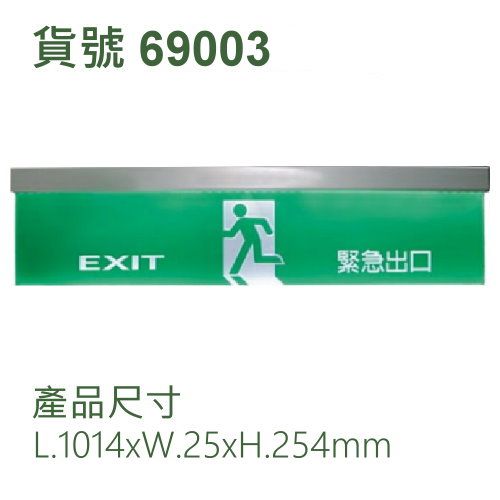 白光緊急誘導燈/大型